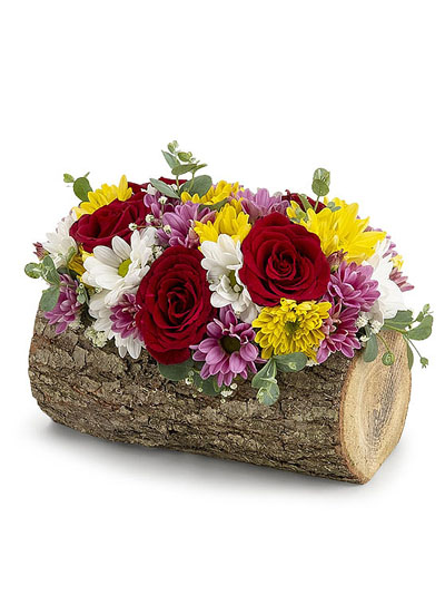 Mehterçeşme Mahaallesi Çiçekçi - kutuk+3-gul-+kir-cicekleri