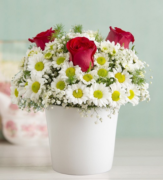 Güzelyurt Çiçekçi - vazo+3-gul+papatya
