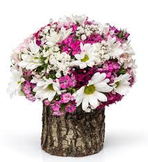 Torium çiçekçi Çiçek Gönderimi, Torium çiçekçi Çiçek Servisi, Torium çiçekçi Çiçekçilik, Torium çiçekçi  Çiçek Siparişi,Torium çiçekçi  Çiçekci, Torium çiçekçi Çiçekçileri