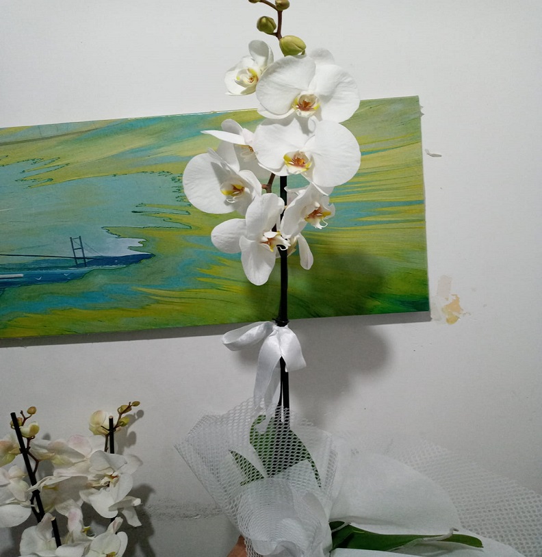 Kıraç Çiçekçi - tekli-orkide